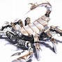 Image result for Pic of the Most Beautiful Scorpion
