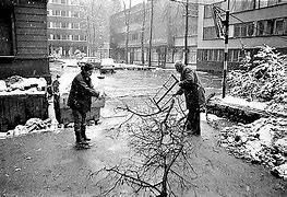 Image result for Sarajevo Before the War