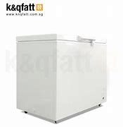 Image result for Standing Freezer Chest