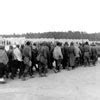 Image result for Soviet Prisoners of War in Germany