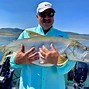 Image result for Grand Mesa Fishing
