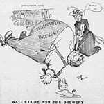 Image result for Prohibition Political Cartoon