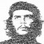 Image result for Che Guevara Hair