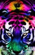 Image result for Rainbow Tiger Cool Wallpapers
