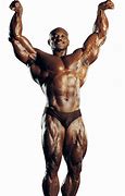 Image result for Sergio Oliva Arm Workout