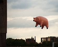 Image result for Pigs Pink Floyd