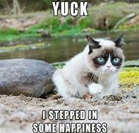 Image result for Best Grumpy Cat Memes Clean
