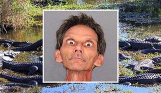 Image result for Florida Man Alligator