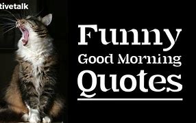 Image result for Funny Quotes Good Morning Comment