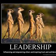 Image result for Funny Inspirational Leadership Quotes
