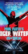 Image result for Roger Waters in the Flesh CD