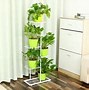 Image result for Tomato Plant Supports for Garden