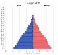 Image result for Pakistan Demography