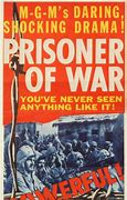 Image result for Prisoner of War Pow
