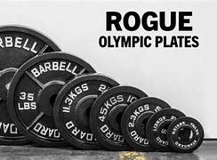 Image result for Rogue Olympic Plate Pair - 45LB
