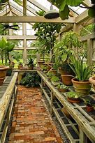 Image result for Greenhouse Planters