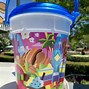 Image result for Disney Souvenir Popcorn Bucket
