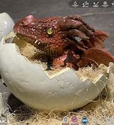 Image result for Fire Dragon Egg