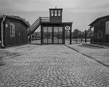 Image result for Stutthof Concentration Camp Hangings