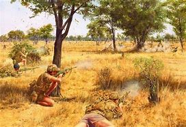 Image result for Rhodesian Bush War