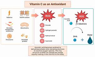 Image result for Vitamin C Antioxidant