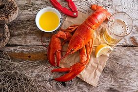 Image result for Maine Lobster Dinner