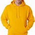 Image result for essentials hoodie colors