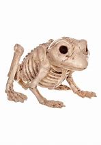 Image result for Halloween Frog