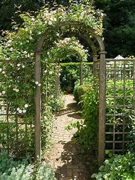 Image result for Wooden Trellis On Wall