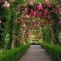 Image result for Beautiful Rose Garden Background