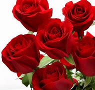 Image result for Flowers for Valentine's Day Roses
