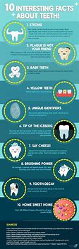 Image result for Teeth Fun Facts