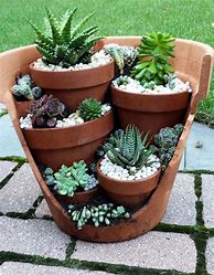 Image result for Potted Succulent Garden Ideas