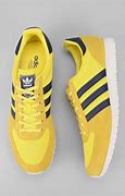 Image result for Adidas Knit Gold Sneakers