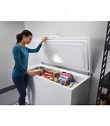 Image result for Garage Ready Chest Freezer