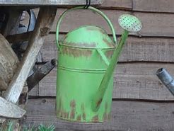 Image result for public domain picture of watering can