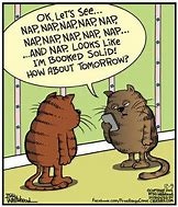 Image result for Jokes Funny Cartoon Kitten