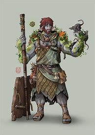 Image result for Druid Characters in Dungeons and Dragons