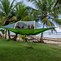 Image result for Tree Tent Camping