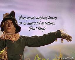 Image result for Wizard of Oz Book Quotes