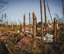 Image result for Tennessee Tornado by County