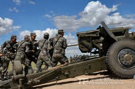 Image result for Chinese Artillery