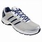 Image result for Adidas Blue and Silver Running Shoes