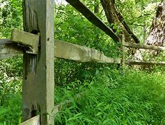 Image result for Congress Fence