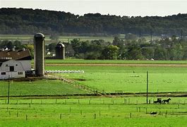Image result for Lancaster Landscapes