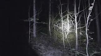 Image result for Bigfoot in the night