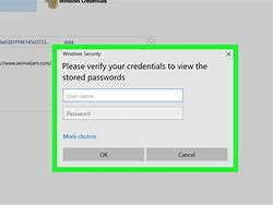 Image result for Windows Security Credentials