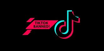Image result for TikTok Ban