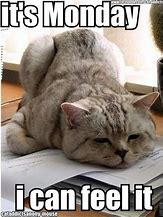 Image result for Funny Animal Monday Quotes