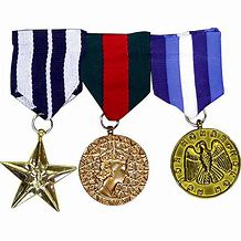 Image result for Combat Hero Medals
